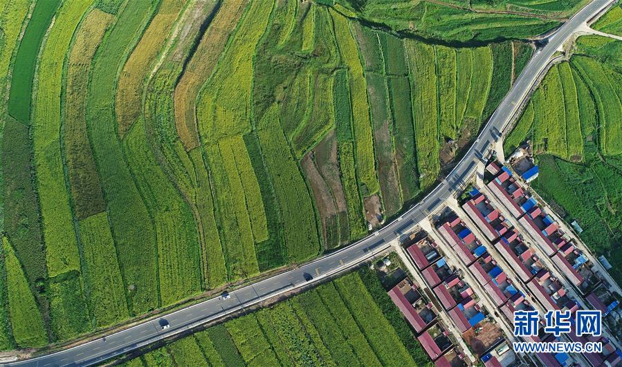 （在習近平新時代中國特色社會主義思想指引下&mdash;&mdash;新時代新作為新篇章&middot;習近平總書記關切事&middot;圖文互動）（4）六盤山下的誓言&mdash;&mdash;來自寧夏的脫貧故事