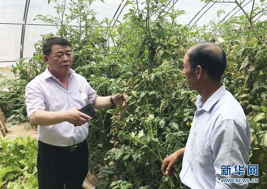 （決戰決勝脫貧攻堅&middot;圖文互動）（2）魚漁兼授 志智雙扶&mdash;&mdash;窮溝溝&ldquo;菜富記&rdquo;