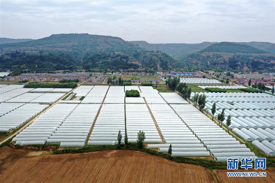 （決戰決勝脫貧攻堅&middot;圖文互動）（3）魚漁兼授 志智雙扶&mdash;&mdash;窮溝溝&ldquo;菜富記&rdquo;