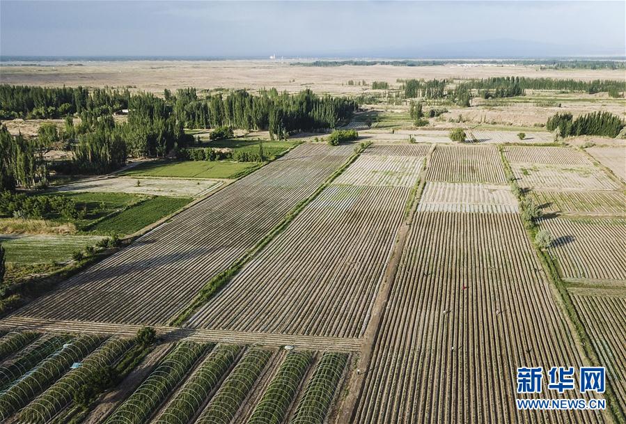 （圖文互動(dòng)）（2）&ldquo;沙漠高地&rdquo;的美好家園