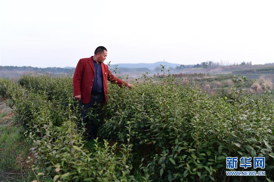 （決戰決勝脫貧攻堅&middot;圖文互動）（3）貧困戶老楊的人生&ldquo;三級跳&rdquo;