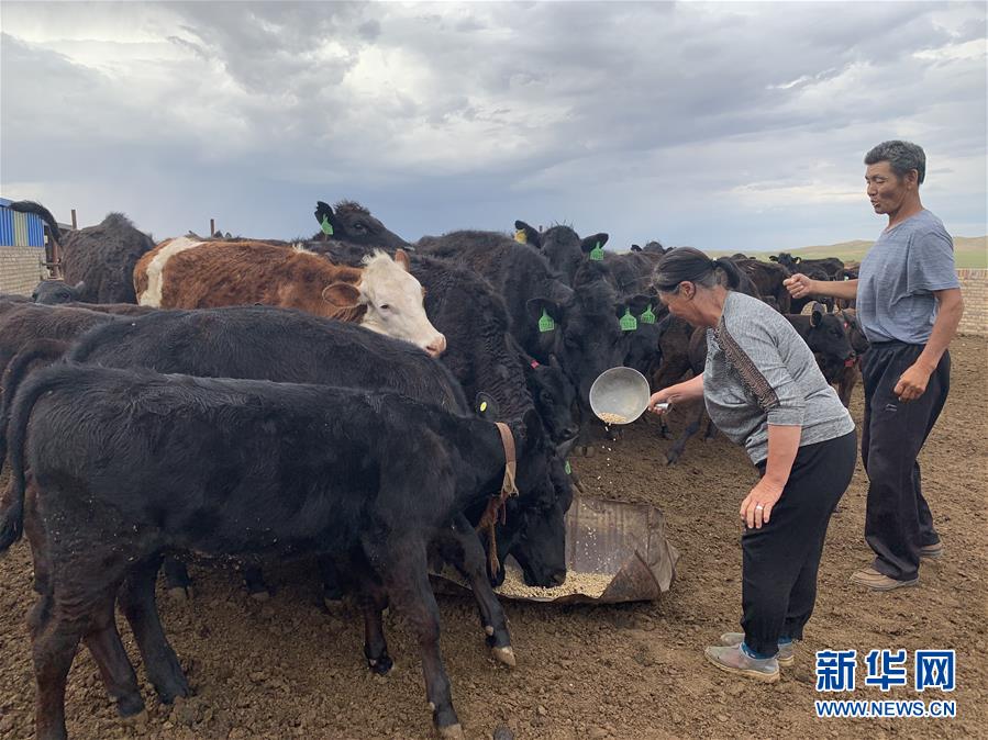 （圖文互動）（2）跨越百余公里的&ldquo;上門放貸&rdquo;