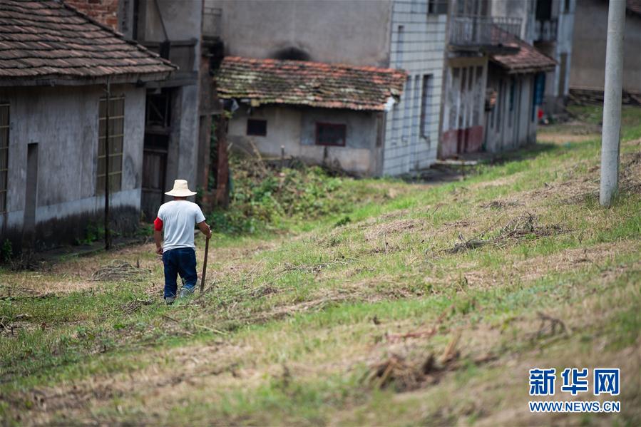 （防汛抗洪&middot;圖文互動）（3）鏖戰南洞庭