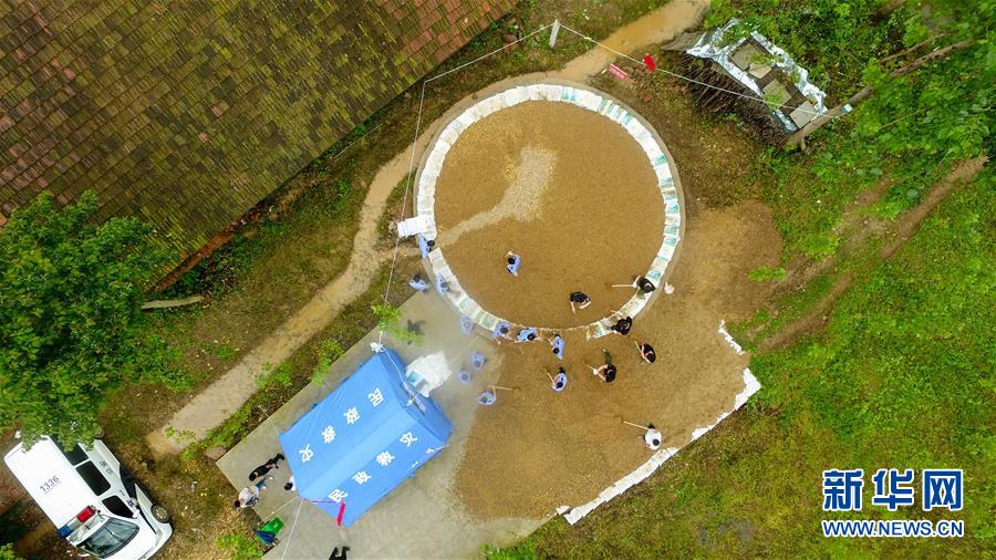 (防汛抗洪·圖文互動)(2)“險情不可怕,可怕的是不能及時發現險情”——洞庭湖巡堤查險現場直擊