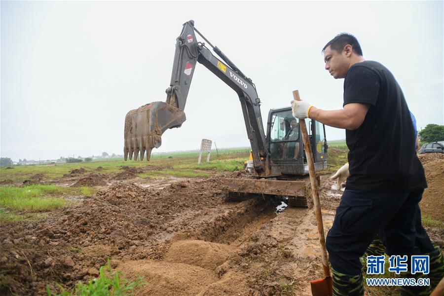 (防汛抗洪·圖文互動)(3)“險情不可怕,可怕的是不能及時發現險情”——洞庭湖巡堤查險現場直擊