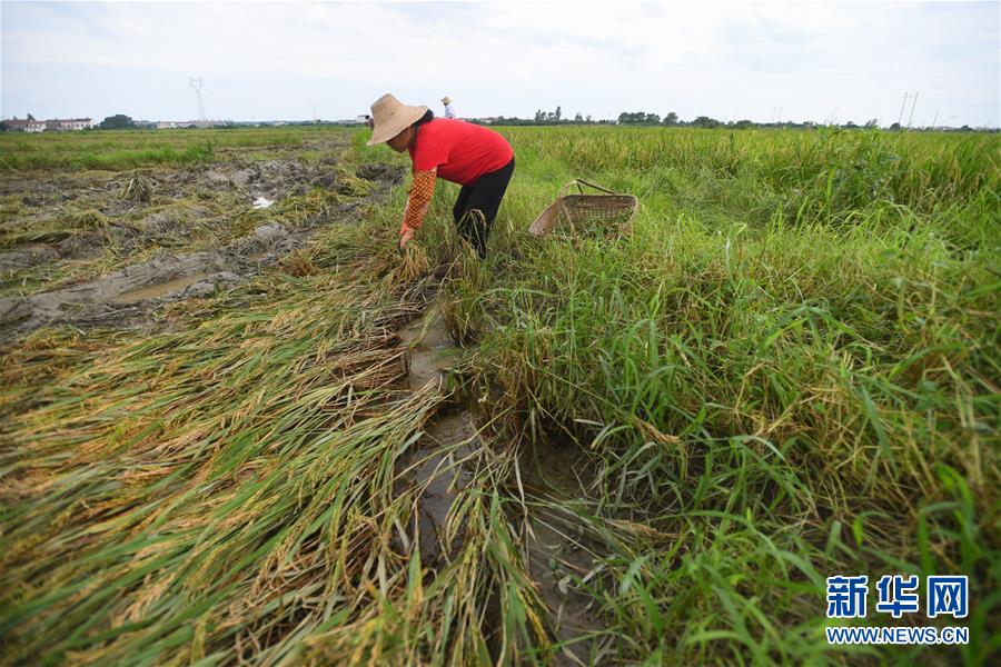 （新華全媒頭條&middot;圖文互動）（13）為了人民群眾生命財(cái)產(chǎn)安全&mdash;&mdash;聚焦關(guān)鍵時期全國防汛抗洪工作