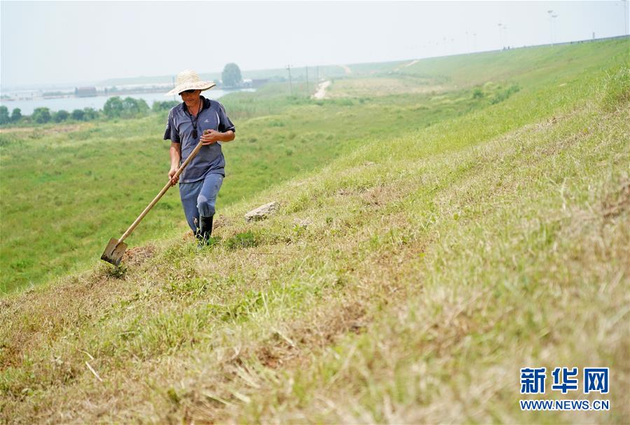 （防汛抗洪&middot;圖文互動）（1）特寫：康山大堤上的脫貧&ldquo;守堤人&rdquo;