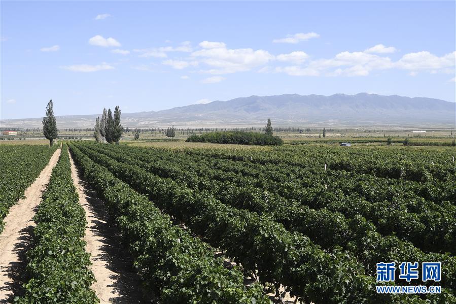 （新華全媒頭條&middot;走向我們的小康生活&middot;圖文互動）（9）23萬人的命運轉折&mdash;&mdash;我國最大易地生態移民安置區的脫貧密碼