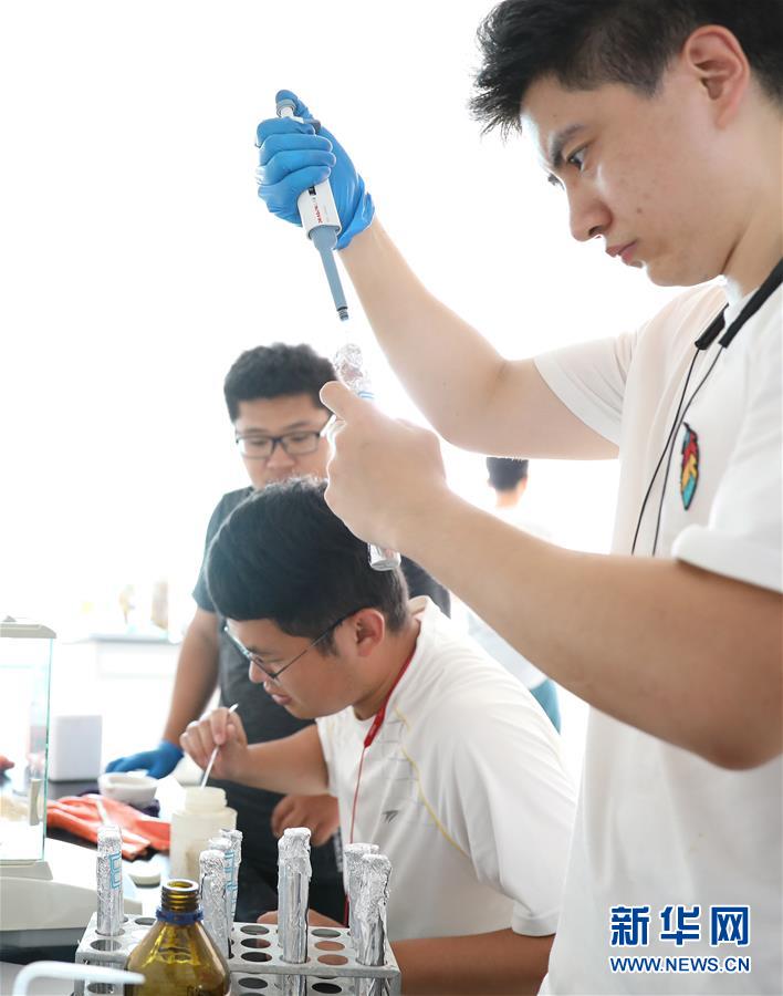 (新華全媒頭條·走向我們的小康生活·圖文互動(dòng))(12)“南大荒”變“稻蟹鄉(xiāng)”——資源枯竭型城市盤錦的鄉(xiāng)村振興之路