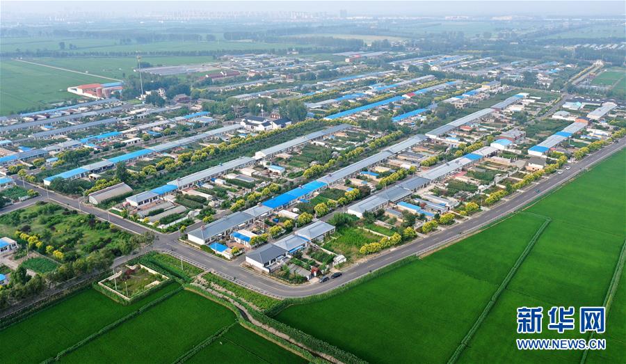 (新華全媒頭條·走向我們的小康生活·圖文互動(dòng))(4)“南大荒”變“稻蟹鄉(xiāng)”——資源枯竭型城市盤錦的鄉(xiāng)村振興之路