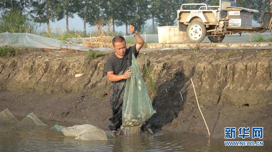 (鄉村振興·圖文互動)(2)歡喜莊的“歡喜事”