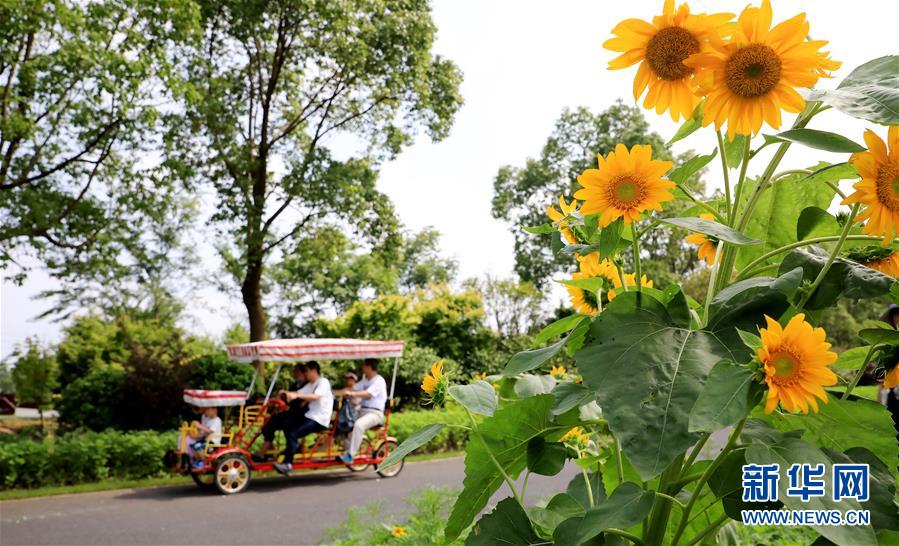 （新華全媒頭條&middot;走向我們的小康生活&middot;圖文互動）（13）城市，讓人民生活更美好