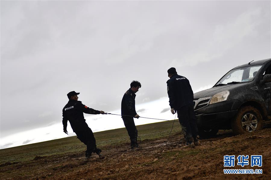 （圖文互動）（10）記者手記：可可西里，&ldquo;挪&rdquo;向&ldquo;藏羚羊大產房&rdquo;的14個半小時