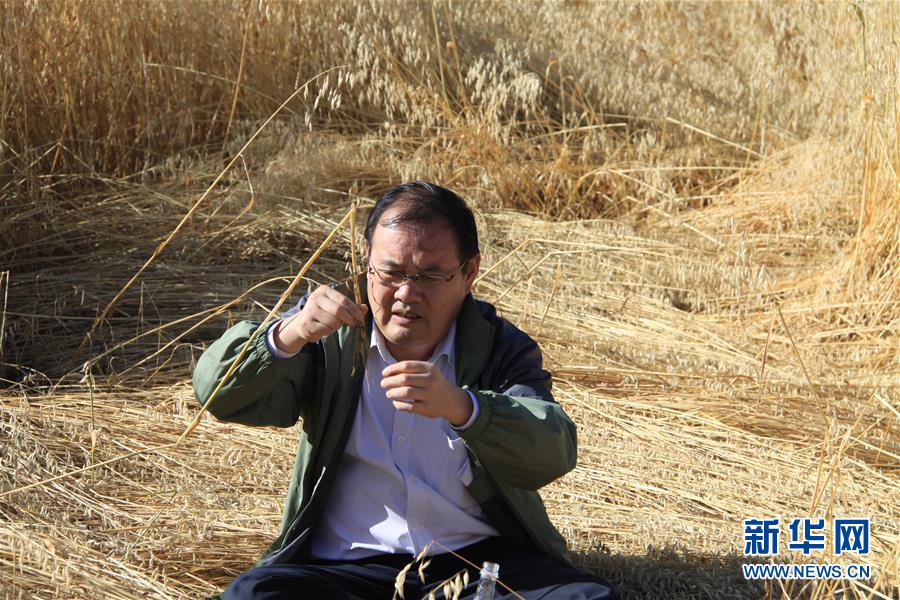 （新時(shí)代擔(dān)當(dāng)作為典型&middot;圖文互動）（1）草地生態(tài)專家趙新全：情深不舍三江源