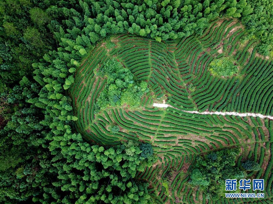 （走向我們的小康生活&middot;圖文互動）（1）&ldquo;紅土地&rdquo;越來越紅火&mdash;&mdash;福建老區(qū)蘇區(qū)發(fā)展新貌掠影