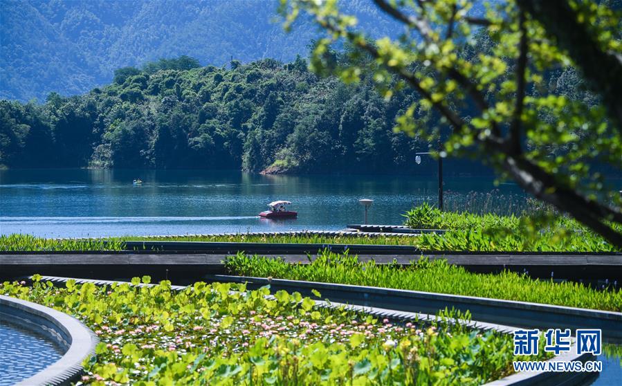 （新華全媒頭條&middot;圖文互動）（8）生態文明之光照耀美麗中國&mdash;&mdash;寫在綠水青山就是金山銀山理念提出15周年之際
