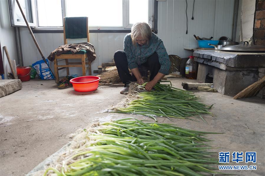 （決戰決勝脫貧攻堅&middot;圖文互動）（4）老張的菜園