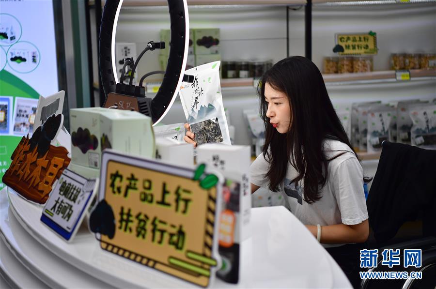 （走向我們的小康生活&middot;圖文互動(dòng)）（3）綠了青山，紅了日子&mdash;&mdash;秦巴山區(qū)群眾繪出小康&ldquo;調(diào)色板&rdquo;