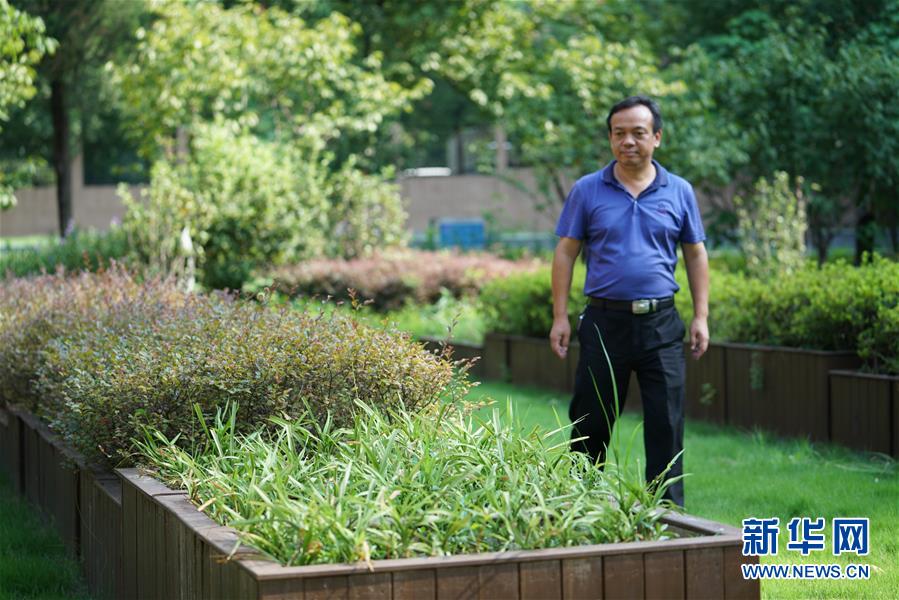 (圖文互動)(1)“綠灰白”破解城市內澇之“囧”