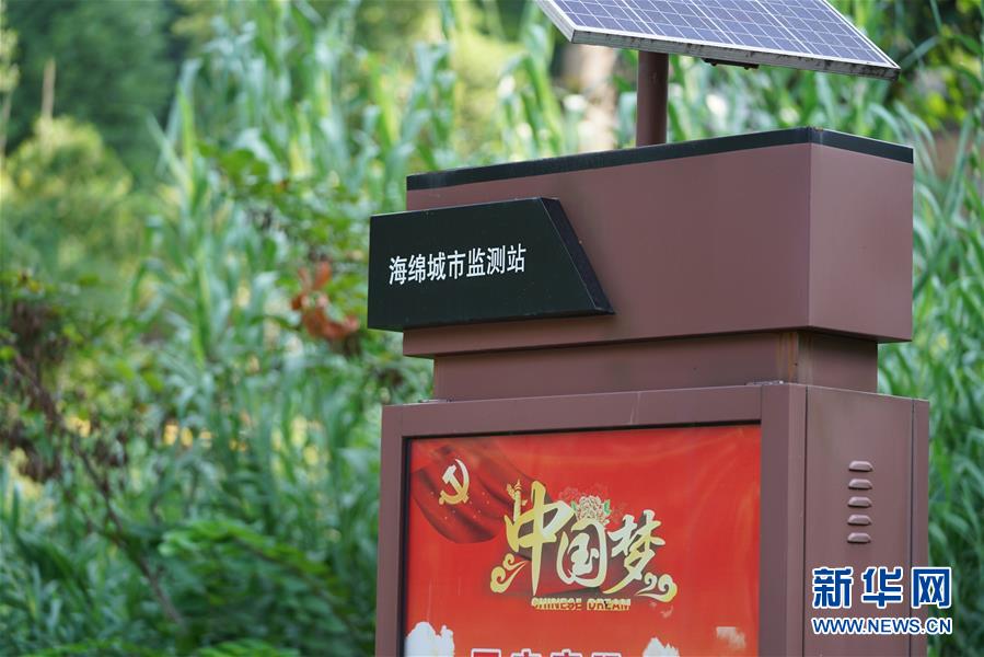 (圖文互動)(3)“綠灰白”破解城市內澇之“囧”