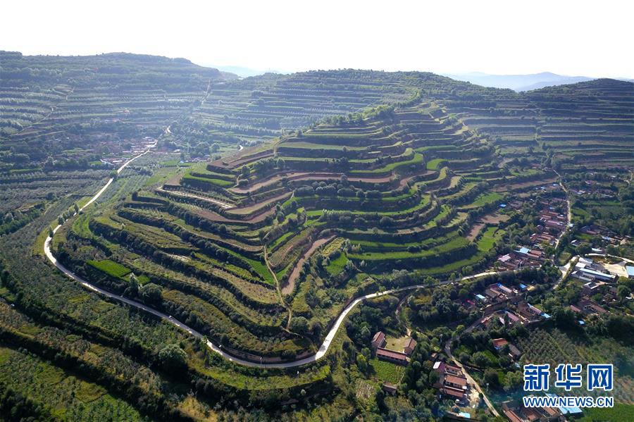  （走向我們的小康生活&middot;圖文互動）（1）在那碧綠的階梯上&mdash;&mdash;&ldquo;梯田之鄉&rdquo;甘肅莊浪縣的&ldquo;三級跳&rdquo;