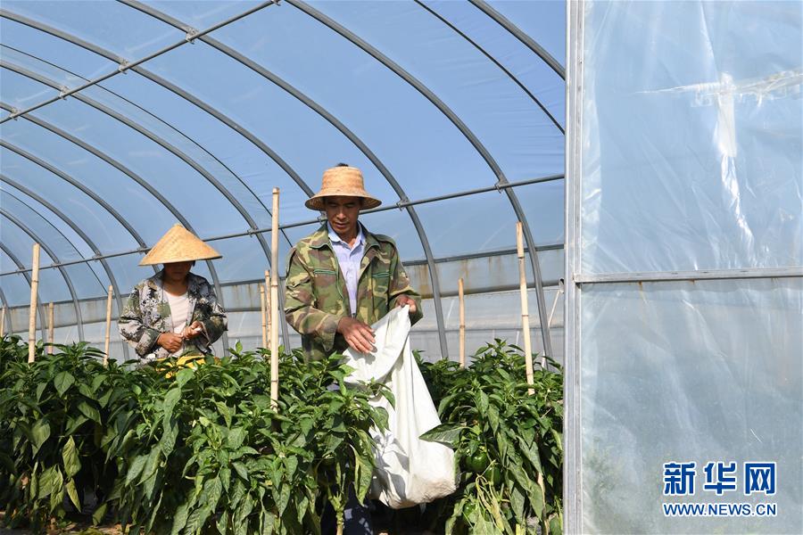 （走向我們的小康生活&middot;圖文互動）（1）&ldquo;荒涼&rdquo;土地掘金記&mdash;&mdash;甘肅旱作農(nóng)業(yè)發(fā)展&ldquo;變奏曲&rdquo;