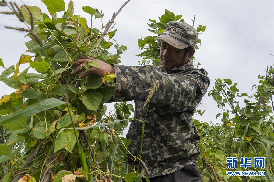 （決戰決勝脫貧攻堅&middot;圖文互動）（3）團結村的李輝新傳