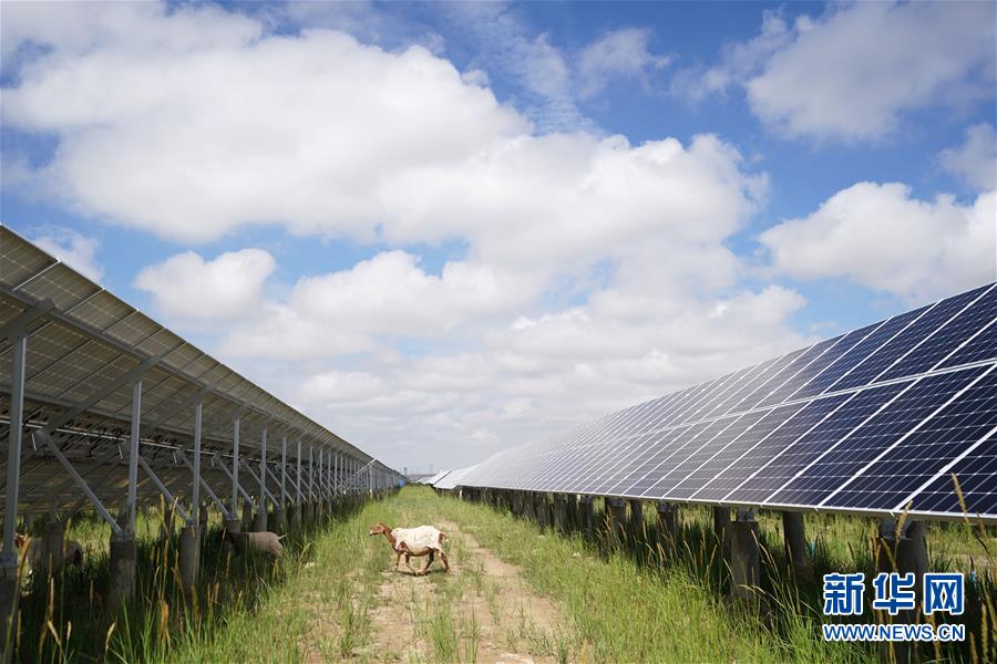 （新華全媒頭條&middot;走向我們的小康生活&middot;決戰決勝脫貧攻堅&middot;圖文互動）（2）高原上綻放的光芒&mdash;&mdash;來自青海攻克深度貧困堡壘的故事