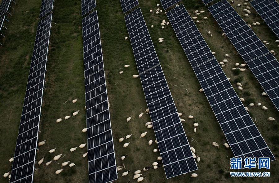 （新華全媒頭條&middot;走向我們的小康生活&middot;決戰決勝脫貧攻堅&middot;圖文互動）（3）高原上綻放的光芒&mdash;&mdash;來自青海攻克深度貧困堡壘的故事