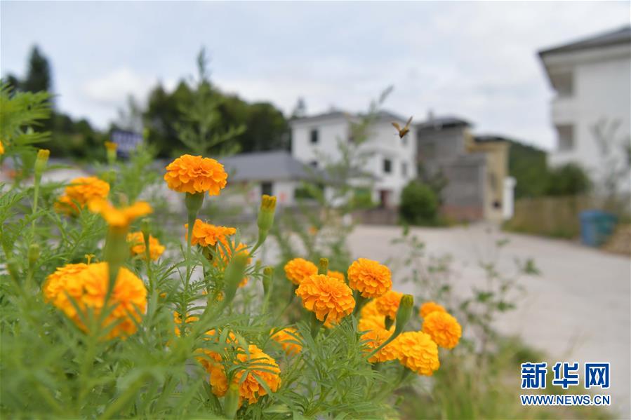 （走向我們的小康生活&middot;圖文互動）（3）從廢棄礦山到生態(tài)&ldquo;福地&rdquo;&mdash;&mdash;江西尋烏戰(zhàn)荒記 