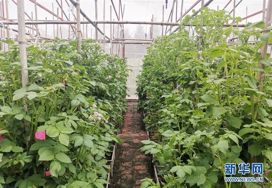 （新華全媒頭條&middot;圖文互動）（8）天道酬勤的大地贊歌&mdash;&mdash;寫在第三個中國農民豐收節之際