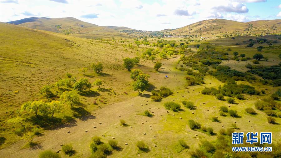 （在習(xí)近平新時代中國特色社會主義思想指引下&mdash;&mdash;新時代新作為新篇章&middot;習(xí)近平總書記關(guān)切事&middot;圖文互動）（4）綠意，在黃沙中鋪展&mdash;&mdash;我國防沙治沙紀(jì)實(shí)