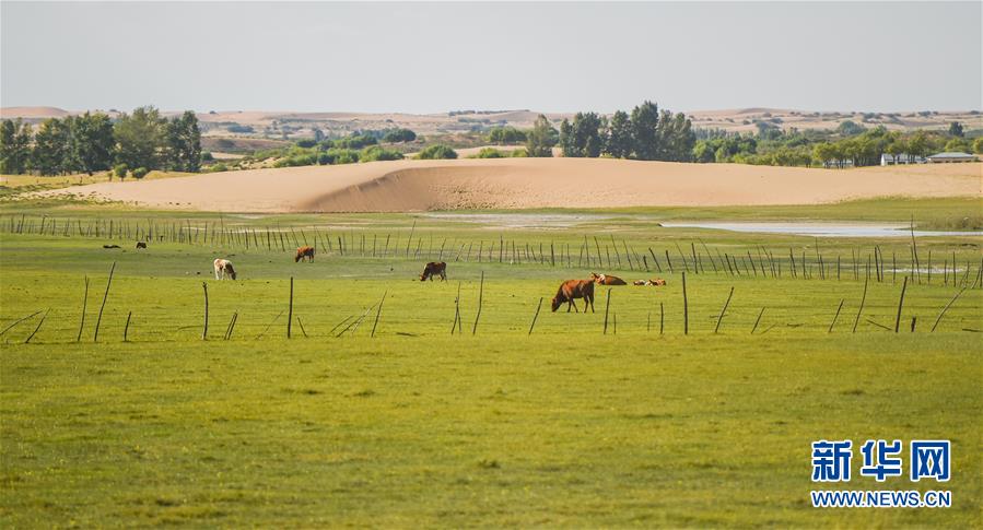 （在習(xí)近平新時代中國特色社會主義思想指引下&mdash;&mdash;新時代新作為新篇章&middot;習(xí)近平總書記關(guān)切事&middot;圖文互動）（9）綠意，在黃沙中鋪展&mdash;&mdash;我國防沙治沙紀(jì)實(shí)