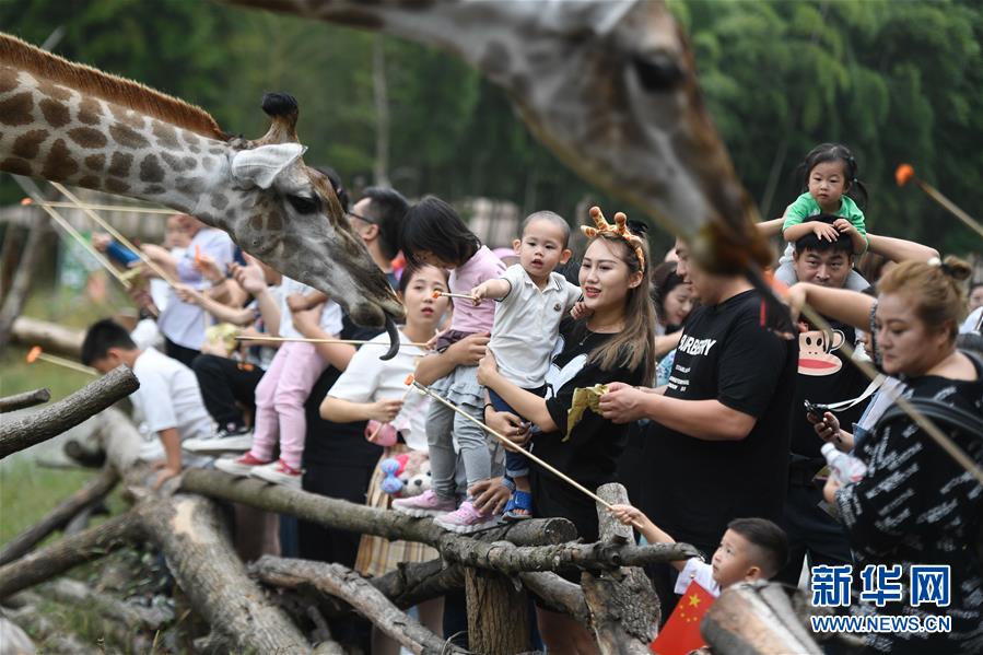 （新華全媒頭條&middot;圖文互動）（9）&ldquo;綠&rdquo;從天目盎然出&mdash;&mdash;湖州做好&ldquo;六穩&rdquo;工作落實&ldquo;六保&rdquo;任務新觀察