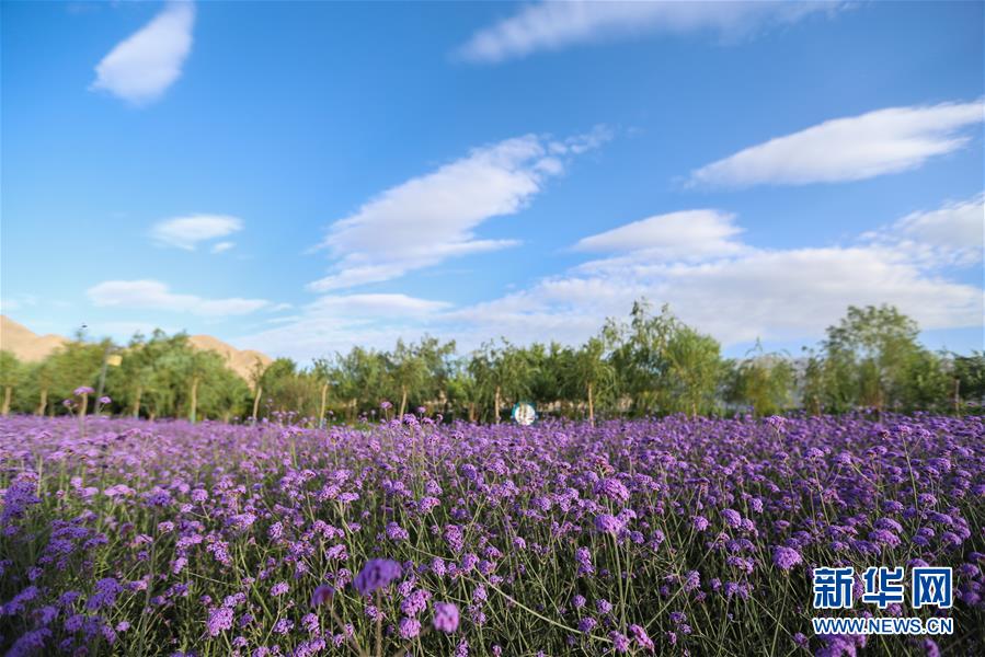 （新華全媒頭條&middot;圖文互動）（7）大山的回響&mdash;&mdash;三個民族自治縣的70年巨變