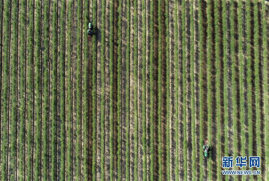 （新華全媒頭條&middot;百萬大移民&middot;圖文互動）（10）從大山深處到大河之畔&mdash;&mdash;寧夏持續移民百萬&ldquo;拔窮根&rdquo;啟示