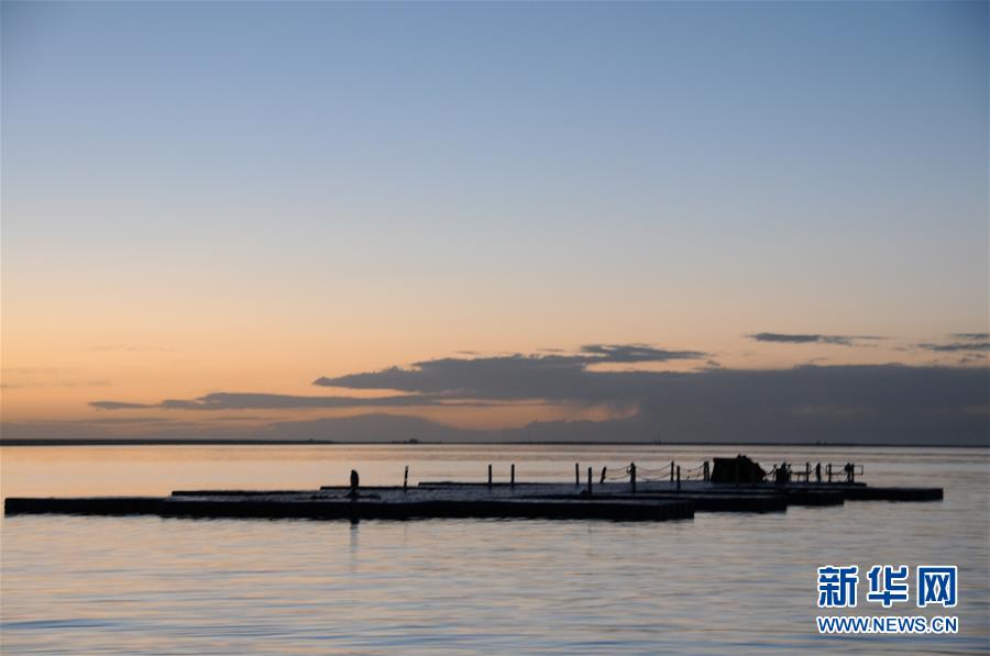 （新華全媒頭條&middot;圖文互動）（2）大湖見證 &mdash;&mdash;持續保護讓青海湖生態華麗&ldquo;蝶變&rdquo;