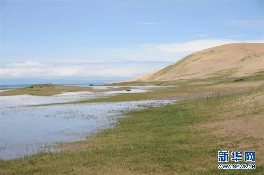 （新華全媒頭條&middot;圖文互動）（12）大湖見證 &mdash;&mdash;持續保護讓青海湖生態華麗&ldquo;蝶變&rdquo;