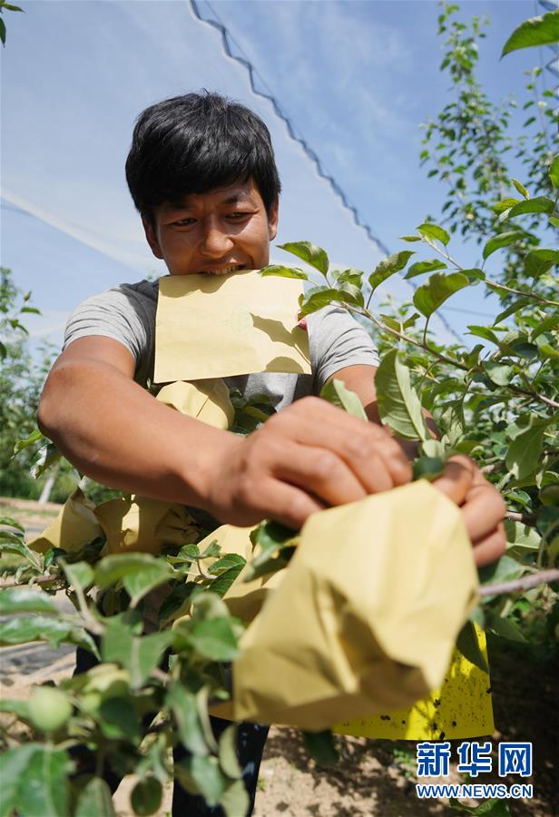 （習(xí)近平的小康故事&middot;圖文互動）（2）&ldquo;我很期盼的一件事，就是讓鄉(xiāng)親們飽餐一頓肉&rdquo;&mdash;&mdash;習(xí)近平和脫貧攻堅(jiān)的故事