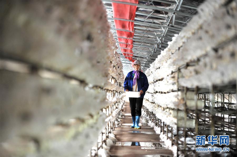 （習(xí)近平的小康故事&middot;圖文互動）（6）&ldquo;我很期盼的一件事，就是讓鄉(xiāng)親們飽餐一頓肉&rdquo;&mdash;&mdash;習(xí)近平和脫貧攻堅(jiān)的故事