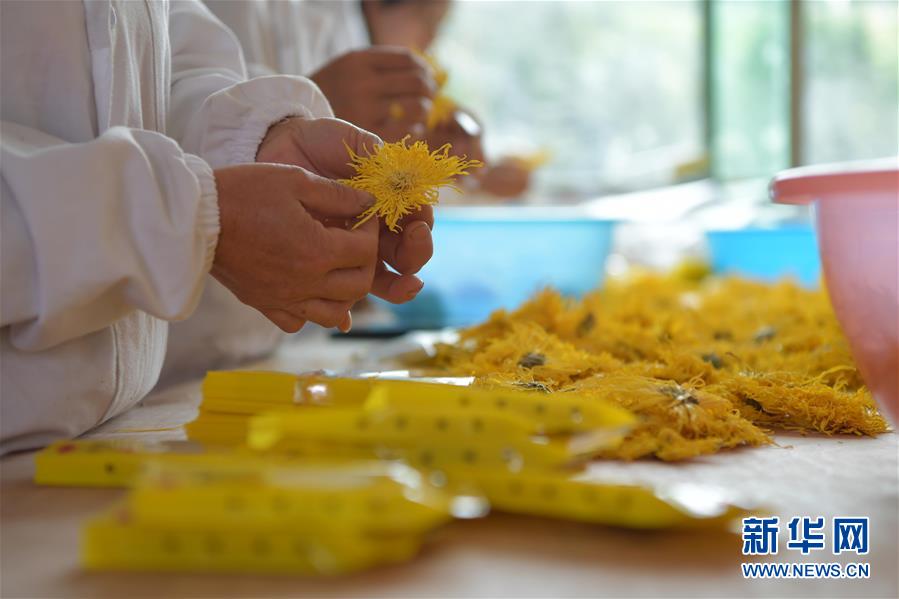 （新華全媒頭條&middot;圖文互動(dòng)）（5）幕阜山&ldquo;搬窮&rdquo;記