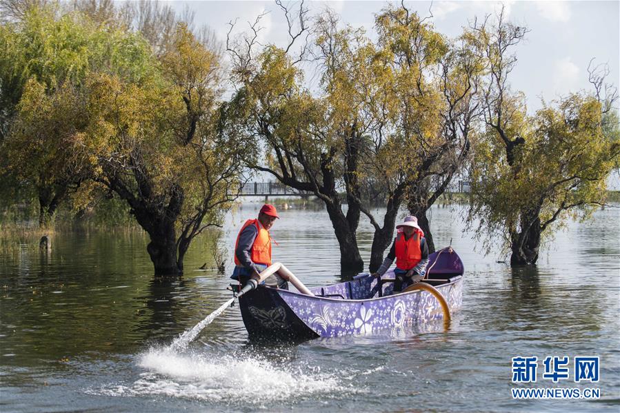 （新華全媒頭條&middot;五中全會(huì)精神在基層&middot;圖文互動(dòng)）（9）奮發(fā)新青年　逐夢(mèng)新征程&mdash;&mdash;各地青年學(xué)習(xí)貫徹落實(shí)五中全會(huì)精神觀察
