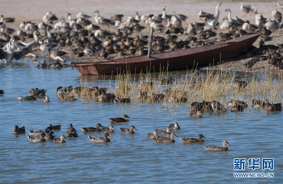 （新華全媒頭條&middot;圖文互動(dòng)）（10）奮力書寫東北振興的時(shí)代新篇&mdash;&mdash;習(xí)近平總書記調(diào)研東北三省并主持召開深入推進(jìn)東北振興座談會(huì)紀(jì)實(shí)