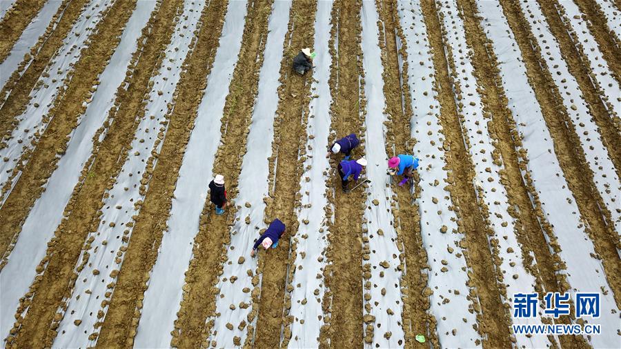 (在習近平新時代中國特色社會主義思想指引下——新時代新作為新篇章·習近平總書記關切事·圖文互動)(8)啃下最后的硬骨頭——脫貧攻堅掛牌督戰進行時
