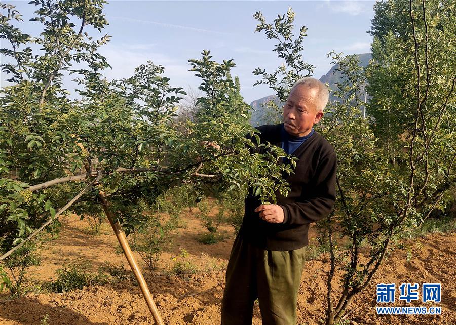 (新華全媒頭條·圖文互動)(5)春天里的5個“戰(zhàn)貧”瞬間——習近平總書記關(guān)于脫貧攻堅決策部署指引攻克最后的深貧堡壘