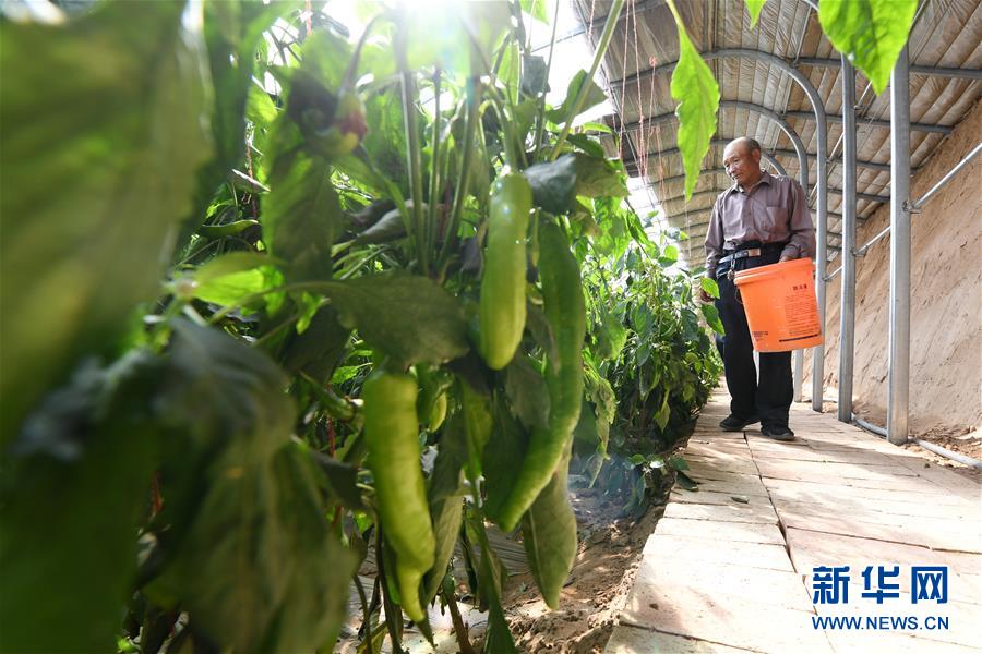 (新華全媒頭條·圖文互動)(15)春天里的5個“戰(zhàn)貧”瞬間——習近平總書記關(guān)于脫貧攻堅決策部署指引攻克最后的深貧堡壘