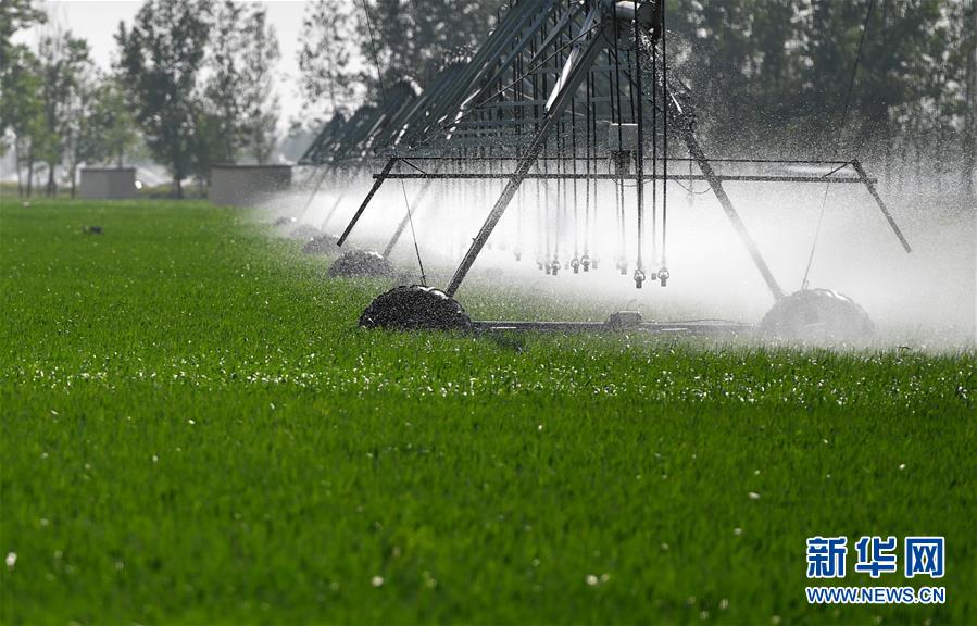 （在習(xí)近平新時(shí)代中國特色社會(huì)主義思想指引下&mdash;&mdash;新時(shí)代新作為新篇章&middot;習(xí)近平總書記關(guān)切事&middot;圖文互動(dòng)）（3）新農(nóng)事、新希望&mdash;&mdash;夏收前田間新動(dòng)態(tài)掃描