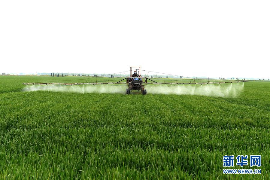 （在習(xí)近平新時(shí)代中國特色社會(huì)主義思想指引下&mdash;&mdash;新時(shí)代新作為新篇章&middot;習(xí)近平總書記關(guān)切事&middot;圖文互動(dòng)）（10）新農(nóng)事、新希望&mdash;&mdash;夏收前田間新動(dòng)態(tài)掃描