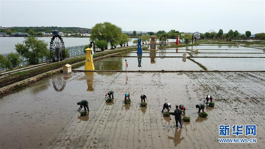 （在習(xí)近平新時代中國特色社會主義思想指引下&mdash;&mdash;新時代新作為新篇章&middot;習(xí)近平總書記關(guān)切事&middot;圖文互動）（6）讓農(nóng)民挑上&ldquo;金扁擔(dān)&rdquo;&mdash;&mdash;農(nóng)業(yè)現(xiàn)代化的生動實踐掃描