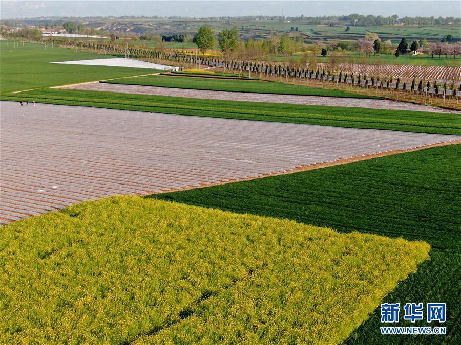 （在習近平新時代中國特色社會主義思想指引下&mdash;&mdash;新時代新作為新篇章&middot;習近平總書記關切事&middot;圖文互動）（7）食為政首&mdash;&mdash;穩住農業基本盤增添發展底氣